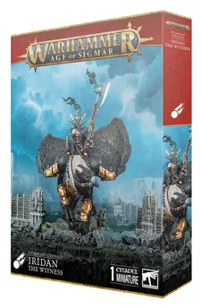 Iridan the Witness / Lord-Vigilant on Morrgryph