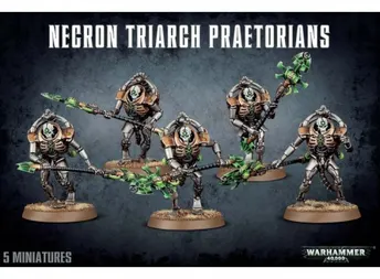 Necrons: Pretorianos De La Triarca