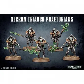 Necrons: Pretorianos De La Triarca