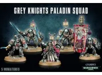40K Grey Knights Paladin / Terminators Squad