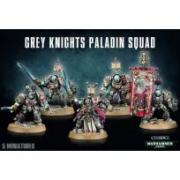 40K Grey Knights Paladin / Terminators Squad