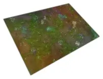 Reino de Vida (Ghyran) - 44"x60"