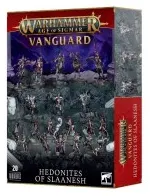 Punta de Lanza: Hedonitas De Slaanesh (20)