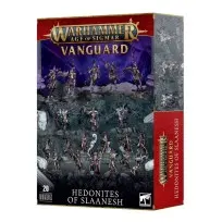 Punta de Lanza: Hedonitas De Slaanesh (20)