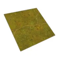 Pradera - 120x120