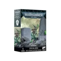 Necrons: Señor Supremo Con Mortaja De Translocación (1)