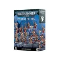 Patrulla De Combate: Adeptus Custodes (14)