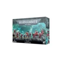 Aeldari Guardianes (11)