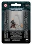 Sacerdote Del Ministorum Con Vindictor (1)