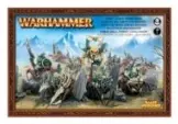 Gloomspite Gitz: Grots Jinetez de Arañaz (V.D.)
