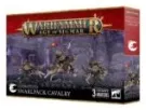 Gloomspite Gitz: Grunemanada De Caballeria