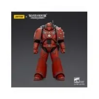THH Figura Blood Angels MKVI Tactical Legionary 12 cm -- Pre-pedido --