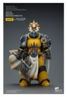 Imperial Fists Figura Librarian Consulwith Force Axe and Bolt Pistol 12 cm
