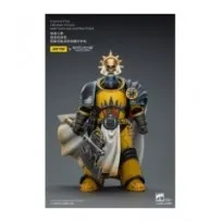 Imperial Fists Figura Librarian Consulwith Force Axe and Bolt Pistol 12 cm -- Pre-pedido --