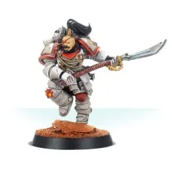 White Scars Fw: Legion Praetor