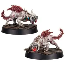 Necromunda Fw: Escher Phyrr Cats