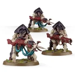Tyranids: Gardes des Ruches / Gardes du Tyran