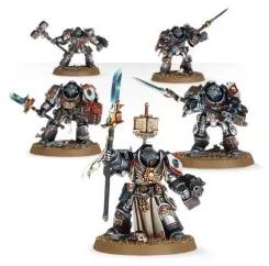 Grey Knights: Terminators / Paladins