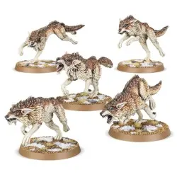 Space Wolves: Loups Fenrissiens (x5)