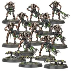 Nécrons: Guerriers Nécron