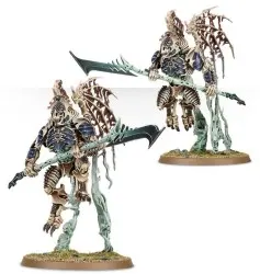 Ossiarch Bonereapers: Morghasts