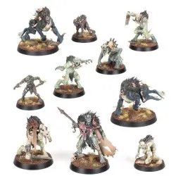 Warcry: Dépeceur Royaux (x10)