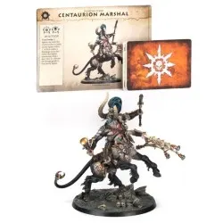 Warcry: Maréchal Centaurion (x1)