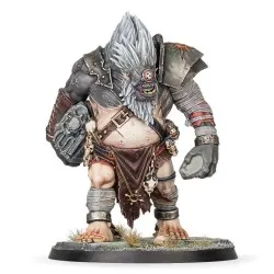 Warcry: Ecraseur Fomoroïde (x1)