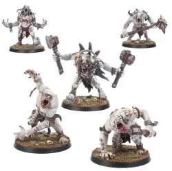 Warcry: Meutegueule d'Engorgeurs (x5)