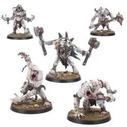 Warcry: Meutegueule d'Engorgeurs (x5)