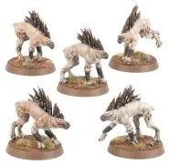 T'au Empire: Chiens Kroots