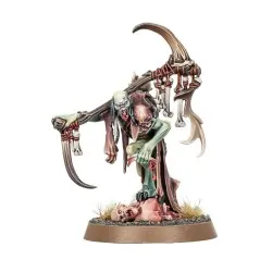 Flesh-Eater Courts: Héraut des Parchemoelles