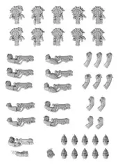 Forge World: Secutarii Pel Tasts Upgrade Set