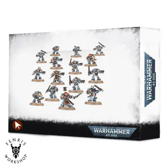 Space Wolves Blood Claws/Grey Hunters/Wolf Guards (Old Box)