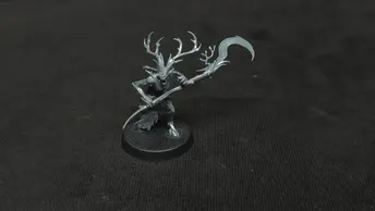 Age of Sigmar Sylvaneth Branchwraith x1