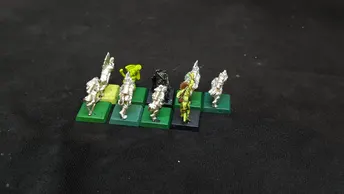 Age of Sigmar Seraphon Skinks x9
