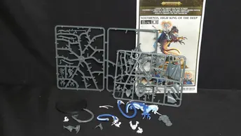 Age of Sigmar Idoneth Deepkin Volturnos x1