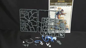 Age of Sigmar Idoneth Deepkin Volturnos x1