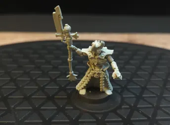 Warhammer 40k Necrons Arankar the Traveller x1
