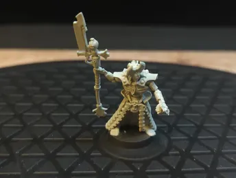 Warhammer 40k Necrons Arankar the Traveller x1