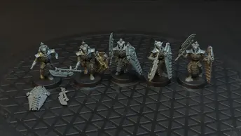 Warhammer 40k Necrons Lychguard x5