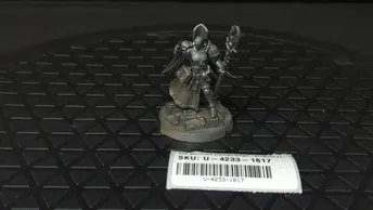 Age of Sigmar Stormcast Eternals Knight-Arcanum x1