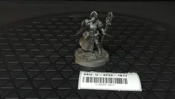 Age of Sigmar Stormcast Eternals Knight-Arcanum x1