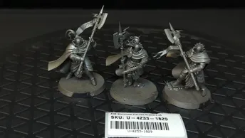 Age of Sigmar Stormcast Eternals Praetors x3
