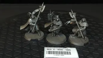 Age of Sigmar Stormcast Eternals Praetors x3