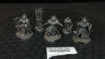 Age of Sigmar Stormcast Eternals Reclusians x5