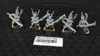 Warhammer 40k Drukhari Incubi - Resin  x5
