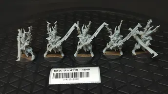 Warhammer 40k Drukhari Incubi - Resin  x5