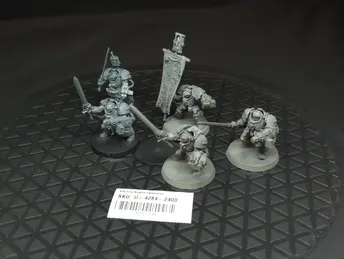 Warhammer 40k Grey Knights Paladins x5