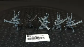 Warhammer 40k Drukhari Incubi x5